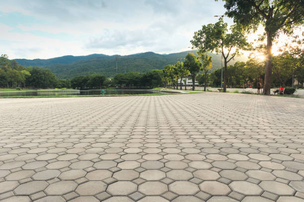Best Residential Paver Driveway  in Bethel, WA